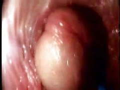 TitsCult presents: Video from the inside of a vagina... very interesting