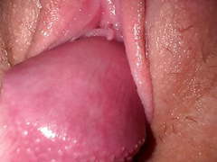 TitsCult presents: I fucked my teen stepsister, tight creamy pussy and close up cumshot, Amateur, Babe, Close-up, Cumshot, Teen (18+), HD Videos, Skinny, 18 Year Old, Teen (18+) Sex, Fucking, Creamy Pussy, Pussy, Pussy Fucking, Tights, Sister Sex, Pussy Cum, Pussies, Teen (